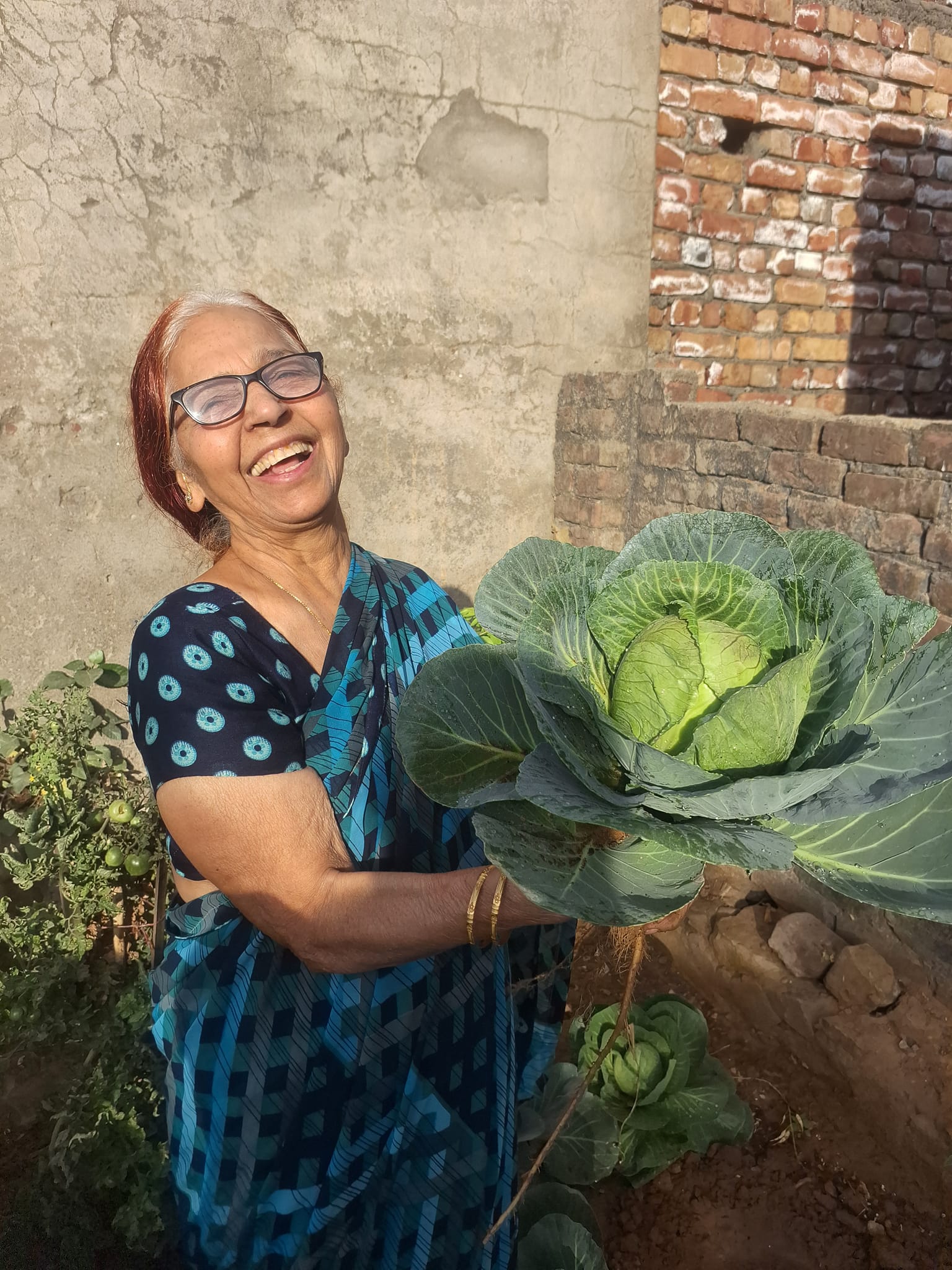 Fresh organic vegetables